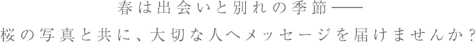 春は出会いと別れの季節――桜の写真と共に、大切な人へメッセージを届けませんか？